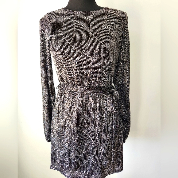 Metallic Sequin Mini Dress - Picture 8 of 13